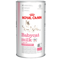Babycat milk Royal Canin